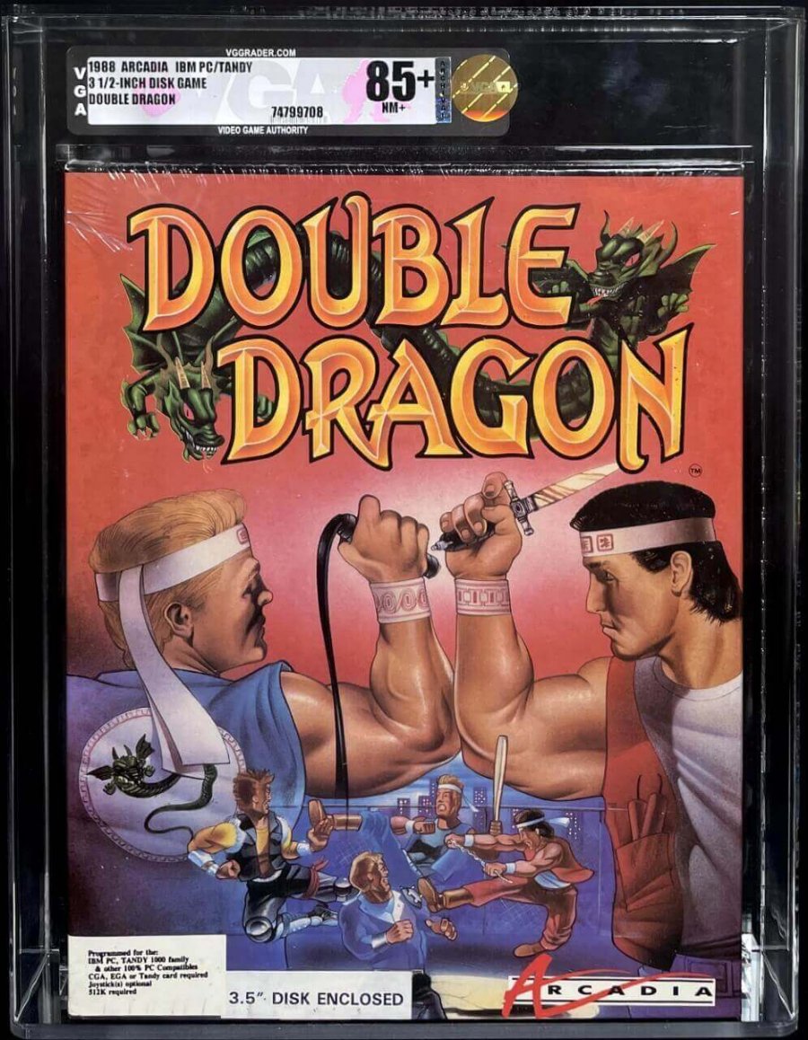 Double Dragon 3 the Arcade Game for Nintendo Gameboy -  Israel